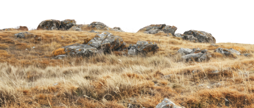 PNG Rocky hillside with dry grass