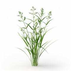 A bunch of flowers and grass are arranged in a circle