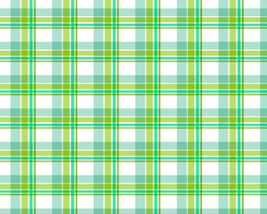 Pattern texture in parrot green, green & white lining. Seamless striped check plaid graphic for flannel shirt, blanket, throw, or other modern spring summer autumn winter fashion fabric design.