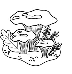 Vector illustration of chanterelle mushrooms highlighted on a transparent background, for children coloring a worksheet, workbook, web design. Stock illustration of a white mushroom in a forest cleari
