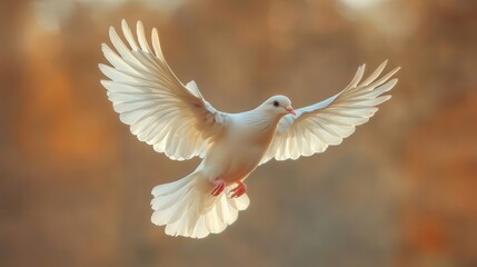 serene white dove in flight against a radiant background wings spread wide symbolizing peace and hope soft ethereal light surrounds the bird creating a spiritual and uplifting atmosphere