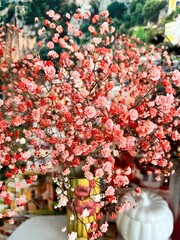 orange flowering Gypsophila in a vase . Floral home decor. Flower background