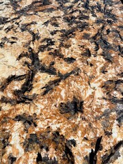 Natural granite Royal Gold. Brown stone background with golden veins.Granite Marble Background