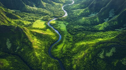 Aerial View of a Winding River Through Lush Green Mountains
