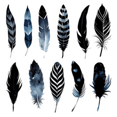 Watercolor feathers collection on a isolated white background (3)