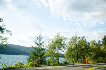 Cultus lake park road lined with pine trees in Chilliwack, Fraser Valley, BC, Canada