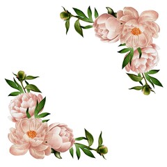 Square frames with pink and beige peonies. High quality photo. Wedding frames. Decor for design, printing, decoration. Delicate flowers with a white background.