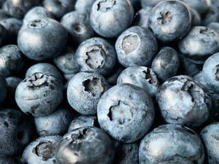 Natural Textured Background Macro Shot of Wet Washed Ripe Organic Blueberries Horisontal