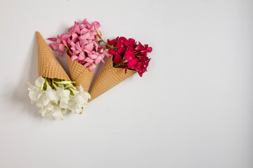 3 ice cream cones with flowers on white background. Minimal food concept.