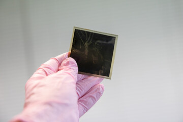 Negative black and white photographic film with an image for printing photographs. Scanning...