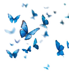 PNG Blue butterflies in flight © Rawpixel.com