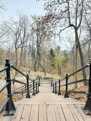 Looking down a steep staircase in a park in the Fall.