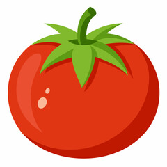 tomato on a white background
