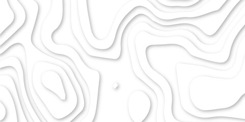 Abstract wavy line 3d paper cut white background. minimal topography map light element shadow landscape.