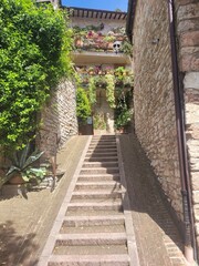 stairs in the garden