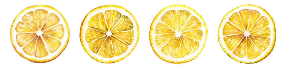 Watercolor Lemon slice PNG set