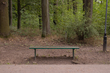 bench in the park