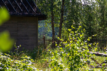 Summer dacha atmosphere on the Kola Peninsula. Flowers in the garden