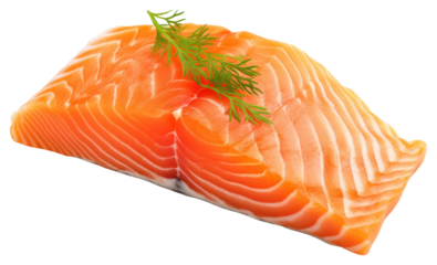 PNG Fresh salmon fillet with dill