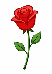 Obraz premium red rose isolated on white background