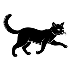 black cat on a white background