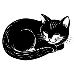 black and white cat