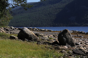 The coastline of the White Sea, in summer, in July, in the Murmansk region, in the north.Tourism, deserted place of rest