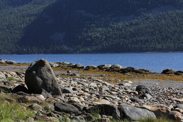 The coastline of the White Sea, in summer, in July, in the Murmansk region, in the north.Tourism, deserted place of rest