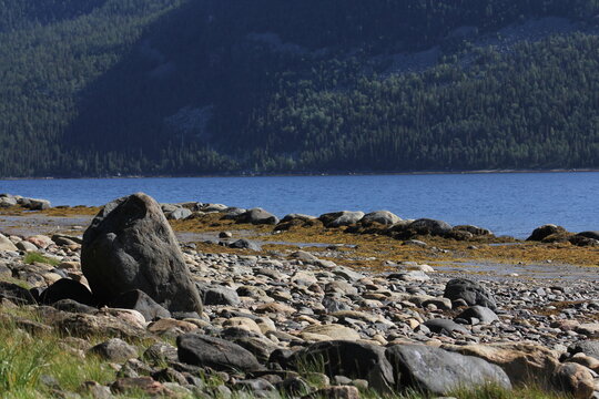 The coastline of the White Sea, in summer, in July, in the Murmansk region, in the north.Tourism, deserted place of rest
