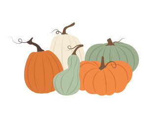 Set of a farm-fresh pumpkin for autumnal celebrations. Vector illustration for autumn season and traditional harvest themes