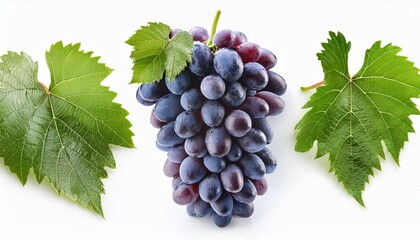 Obraz premium Set of Grape and leaves, isolated on white background