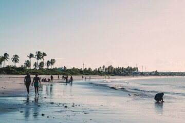 Praia Brasileira 