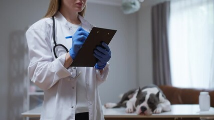 A dedicated female veterinarian is standing and holding a clipboard in front of an adorable dog, ready for its examination and care