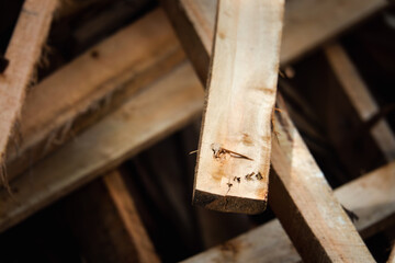 A pile of wood with a single piece of wood showing a nail hole. Scene is somewhat somber, as the pile of wood appears to be discarded or unwanted