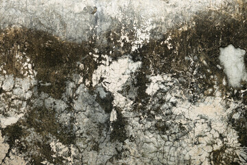 A wall with a lot of cracks and holes. The wall is covered in dirt and has a very rough texture