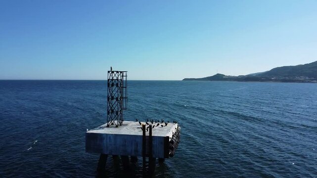 Un groupe de cormorans &agrave; aigrettes se reposant sur une vieille plateforme de ciment et de poutres d'acier suspendue au dessus de l'ocean sous un ciel bleu.