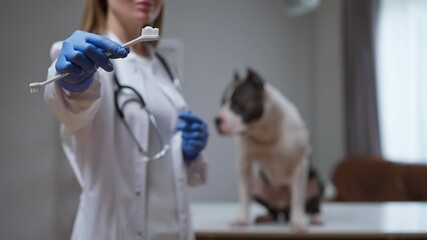 In this video, a female veterinarian shares her expertise in canine dental care, demonstrating vaccinations, health checks, and dental hygiene