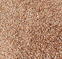 Fototapeta premium Close-up of Raw Buckwheat Grains as Background Texture for Food and Agriculture Themes. Foto
