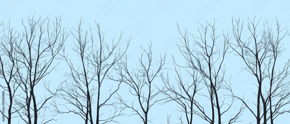 Poster a row of trees with no leaves on them