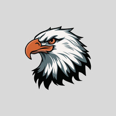 American bald eagle with background