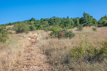 Summer Landscape of Rudina mountain, Bulgaria