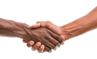 PNG Diverse handshake unity agreement