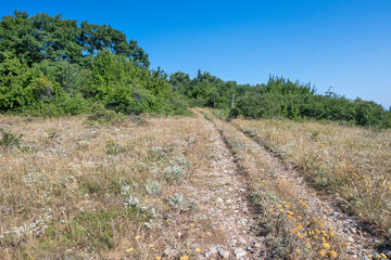 Fototapeta premium Summer Landscape of Rudina mountain, Bulgaria