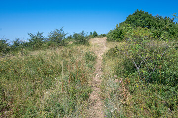 Obraz premium Summer Landscape of Rudina mountain, Bulgaria
