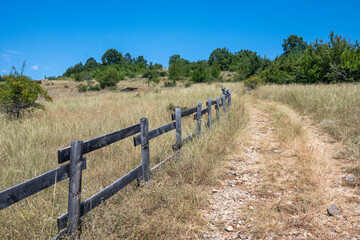 Fototapeta premium Summer Landscape of Rudina mountain, Bulgaria