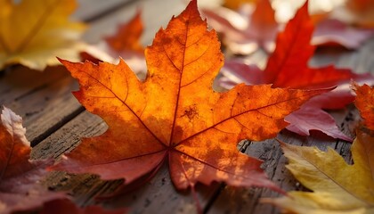 Autumn leaf texture with rich shades of red, orange, and yellow, adding warmth and color to any space.