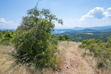Fototapeta premium Summer Landscape of Rudina mountain, Bulgaria