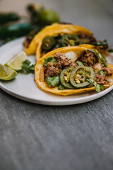 Close up of ground beef styled street tacos