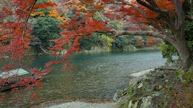 Autumn season in Kyoto, Japan, tourists enjoying a serene boat ride on the Katsura River, surrounded by the vibrant fall foliage. Japanese maple tree in fall season, travel and nature background.	
