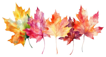 PNG Colorful autumn maple leaves illustration